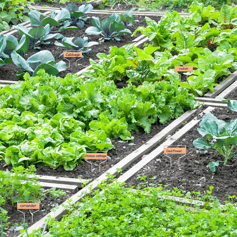 6-easy-d-i-y-garden-label-ideas-adam-s-garden-of-eatin