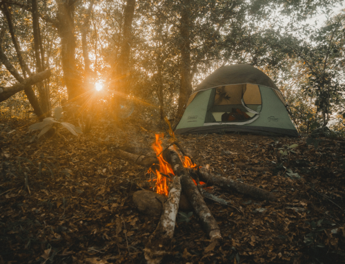 Why Go Camping?